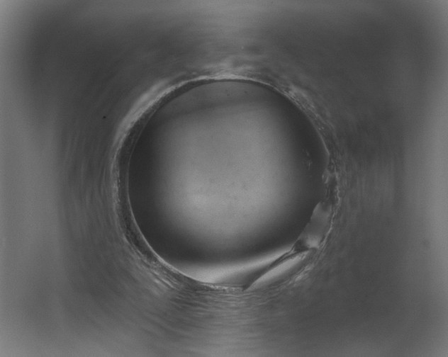 X0000062610295200601040946