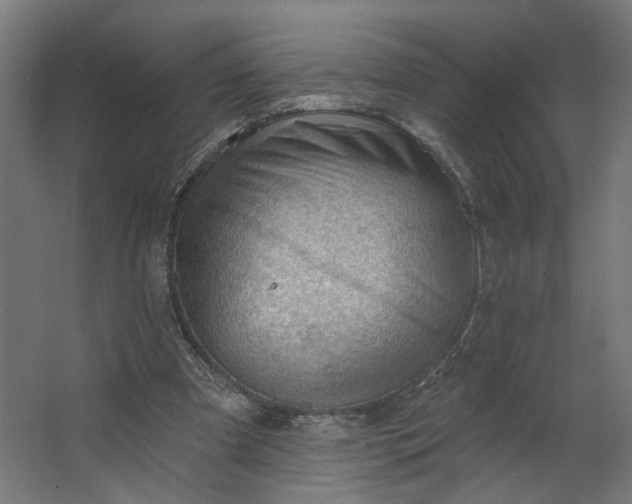 X0000062610297200601040946