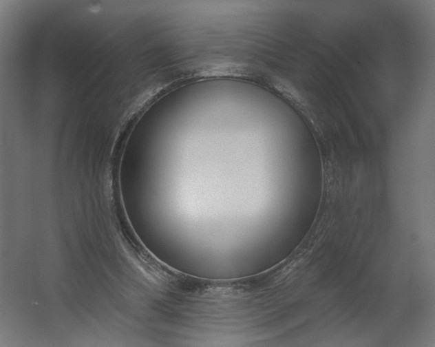 X0000062610298200601040946