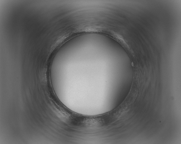 X0000062610299200601040946