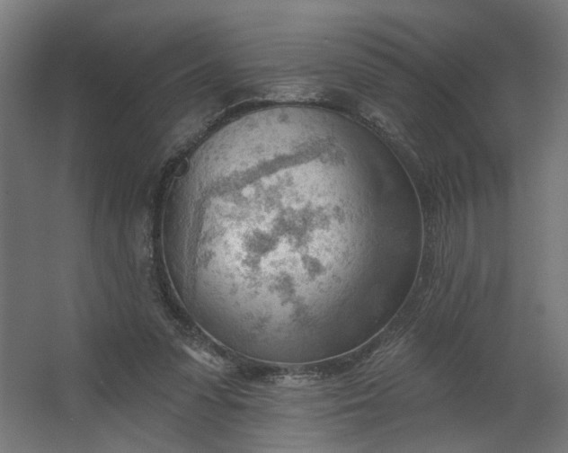 X0000062610303200601040946