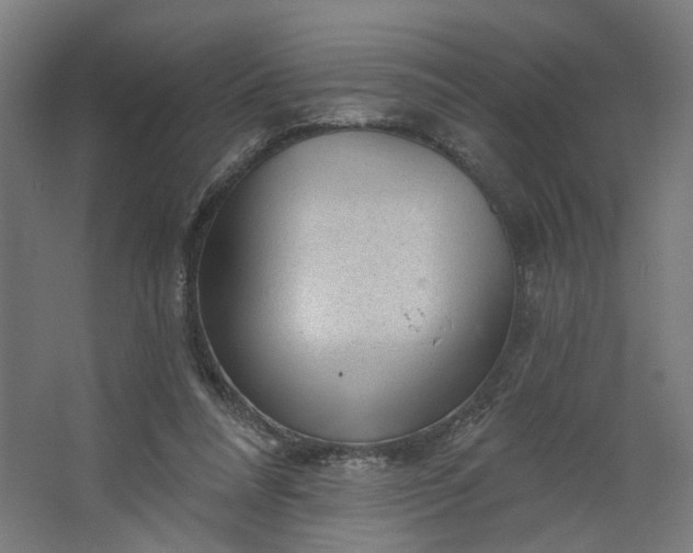 X0000062610304200601040946