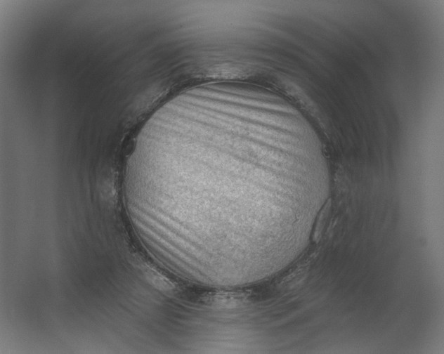 X0000062610305200601040946