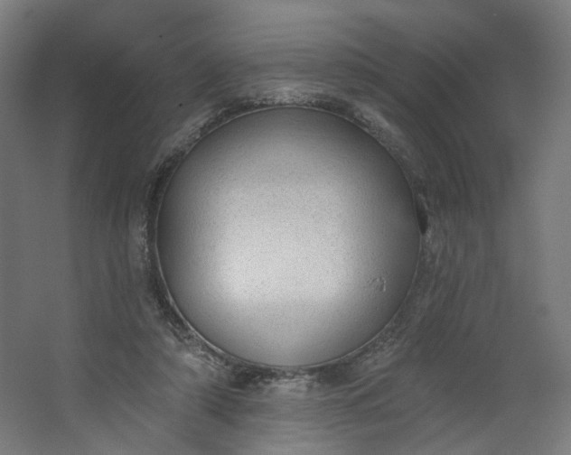 X0000062610306200601040946