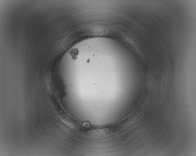 X0000062610307200601040946