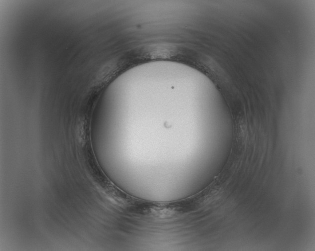 X0000062610311200601040946