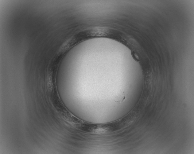 X0000062610312200601040946