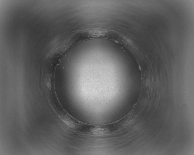 X0000062610315200601040946