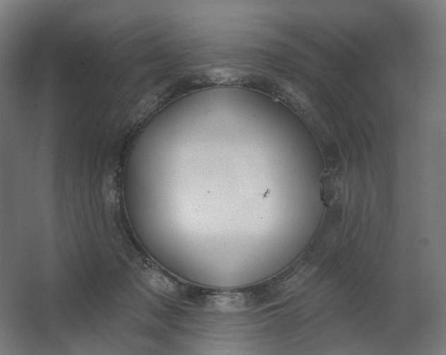 X0000062610317200601040946