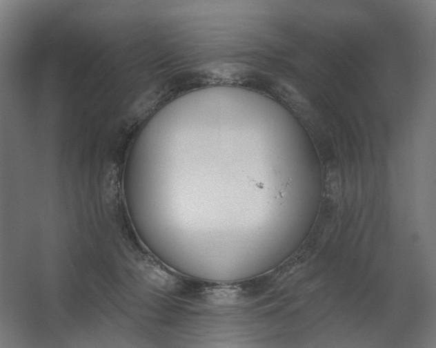 X0000062610318200601040946