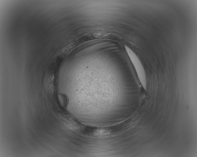 X0000062610319200601040946