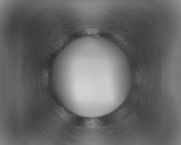 X0000062610321200601040946