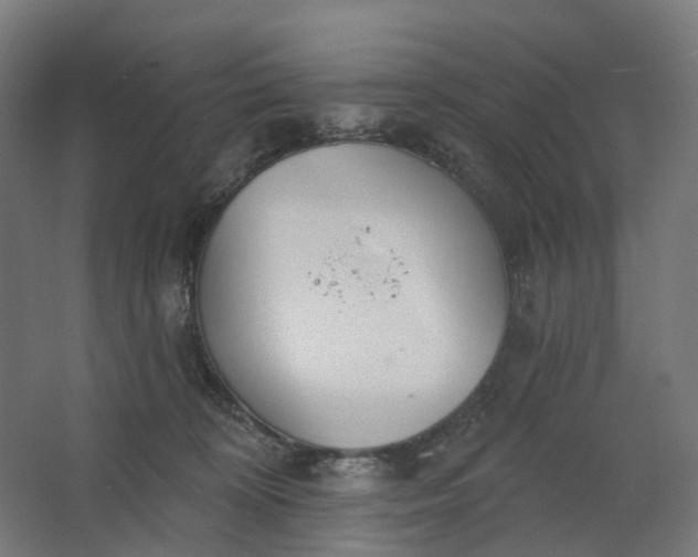 X0000062610324200601040946