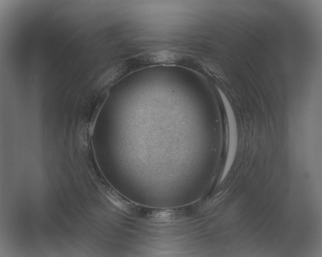 X0000062610325200601040946