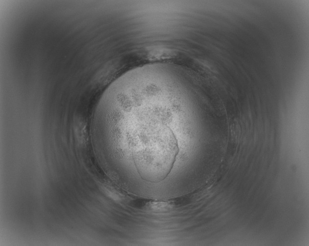 X0000062610327200601040946