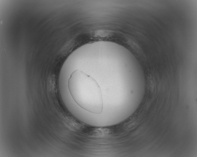 X0000062610328200601040946