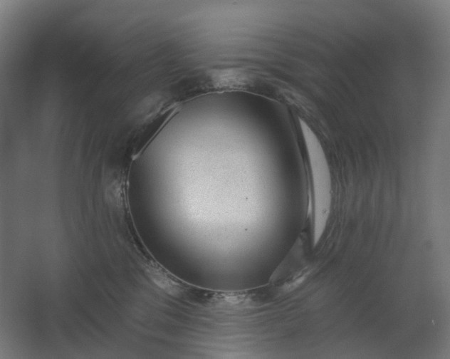 X0000062610329200601040946