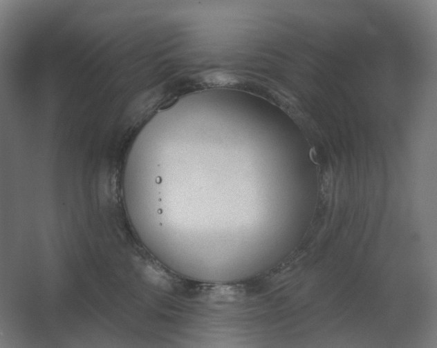 X0000062610330200601040946