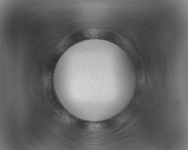 X0000062610332200601040946