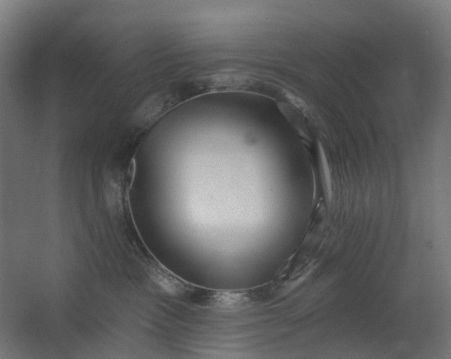 X0000062610333200601040946