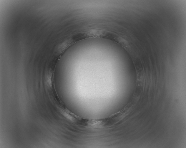 X0000062610334200601040946