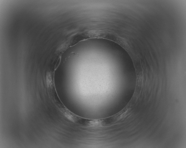 X0000062610335200601040946