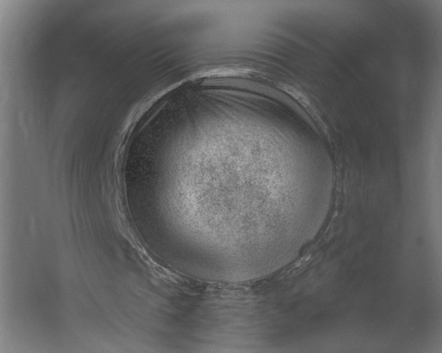 X0000062610337200601040945