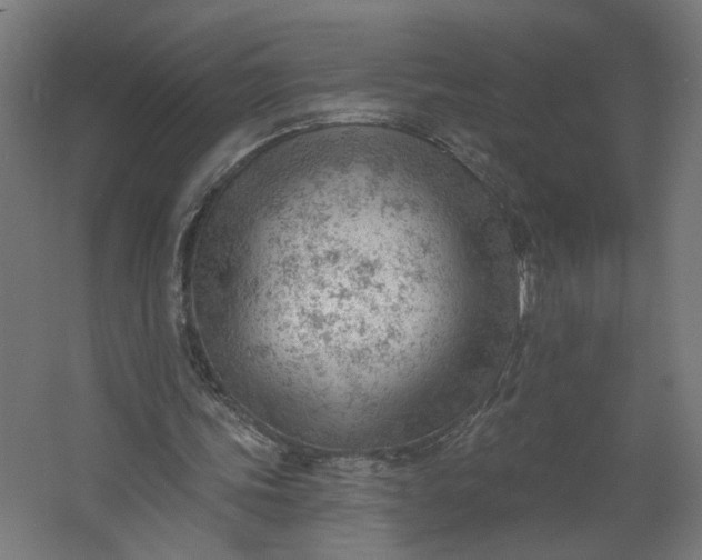 X0000062610339200601040945