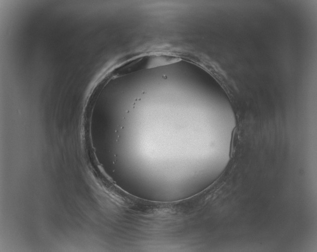 X0000062610344200601040945