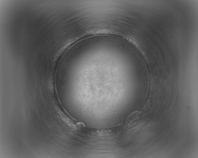 X0000062610345200601040945