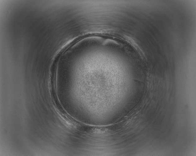 X0000062610346200601040945