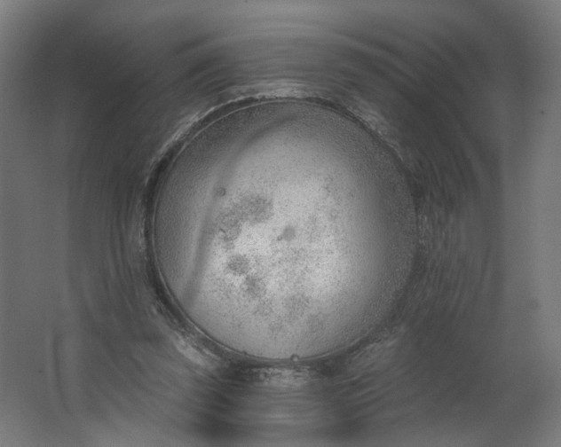 X0000062610347200601040945