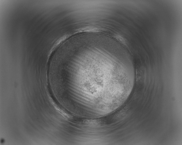 X0000062610349200601040945