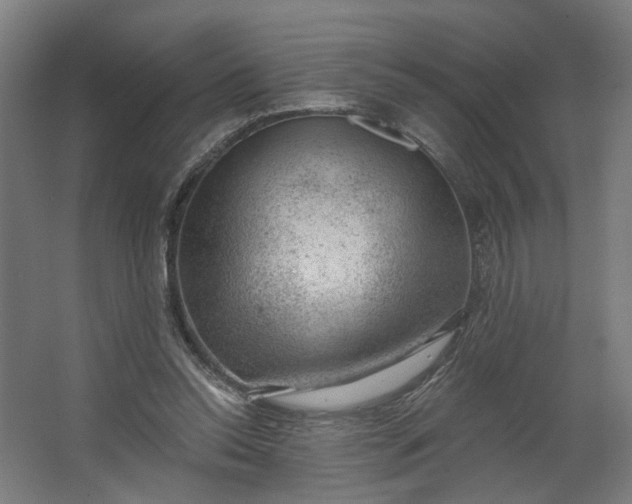 X0000062610350200601040945