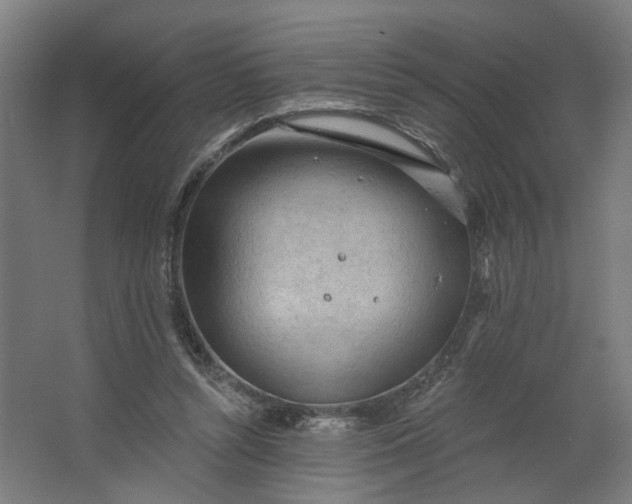 X0000062610352200601040945