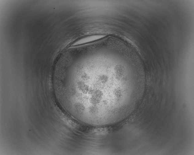 X0000062610353200601040945