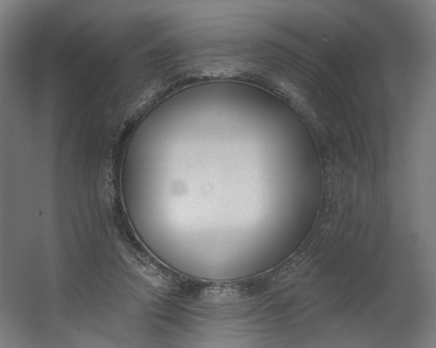 X0000062610354200601040945