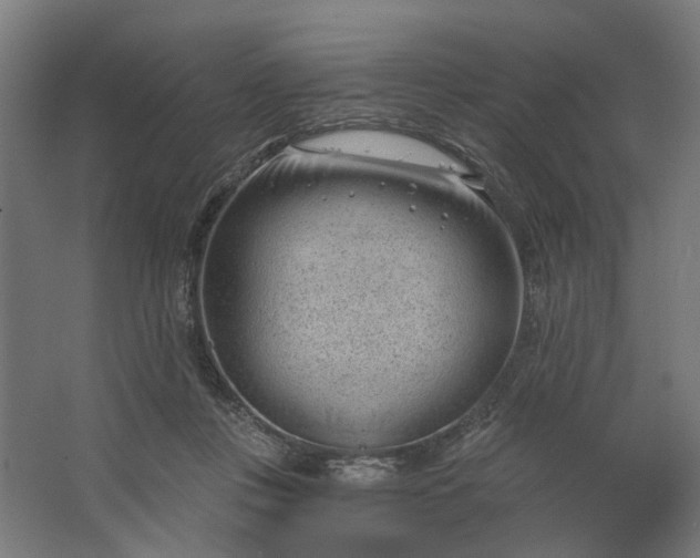 X0000062610359200601040945