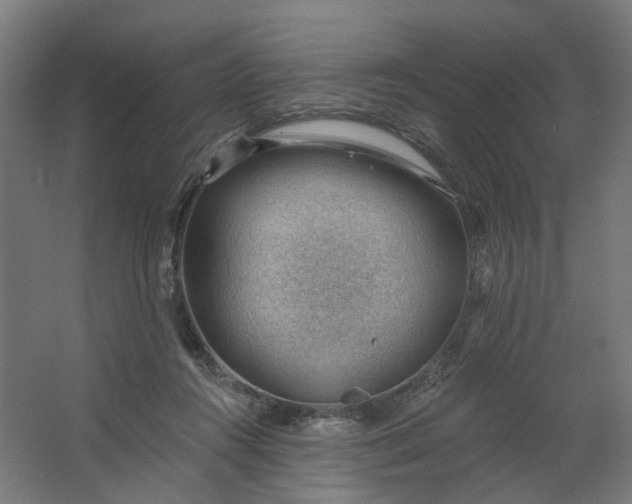 X0000062610360200601040945