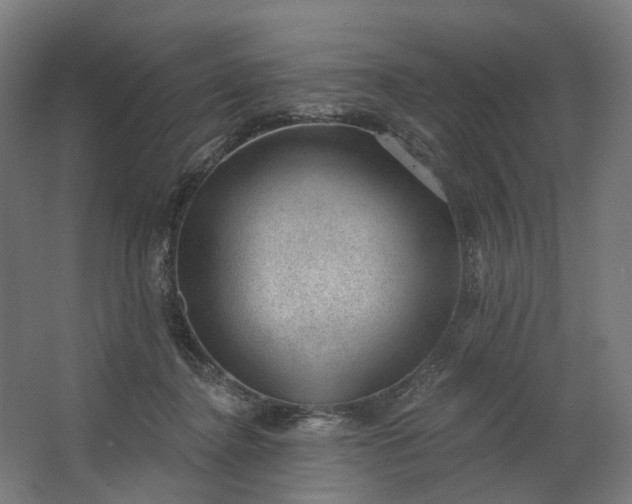 X0000062610364200601040945