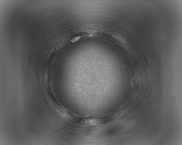 X0000062610365200601040945