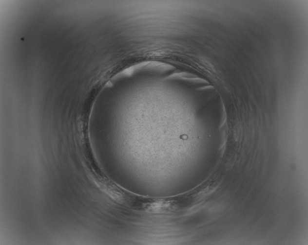 X0000062610366200601040945