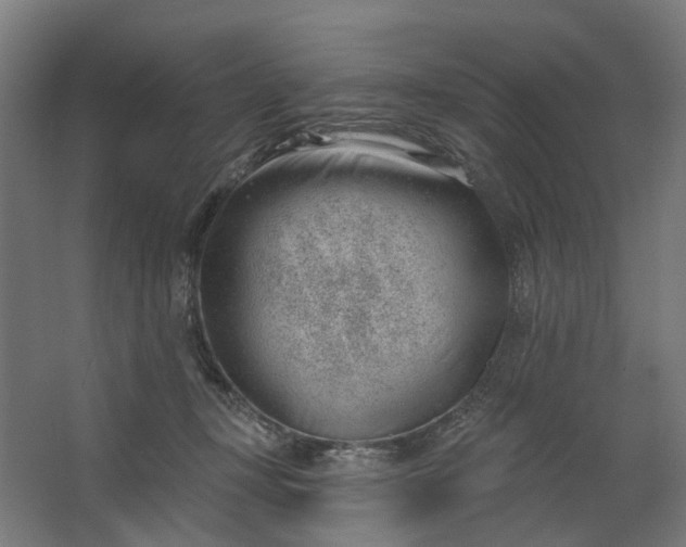 X0000062610367200601040945