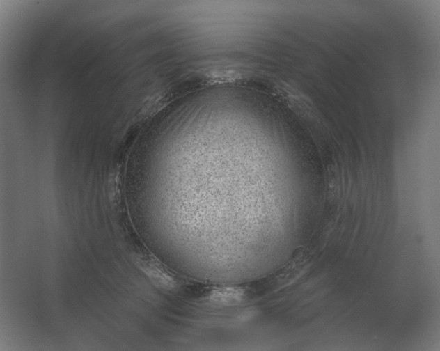 X0000062610369200601040945