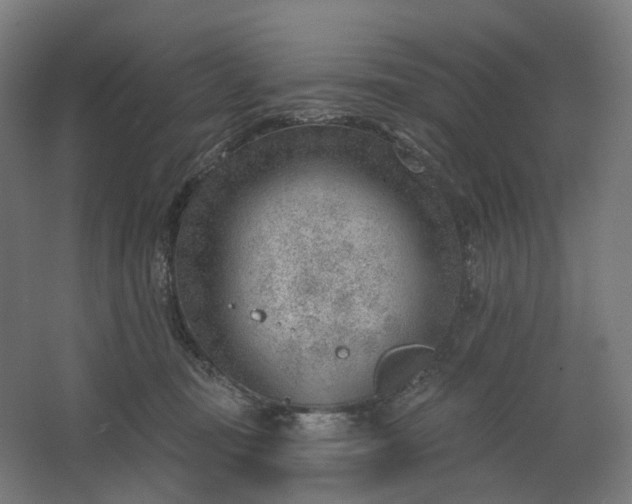 X0000062610371200601040945