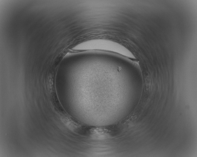 X0000062610372200601040945