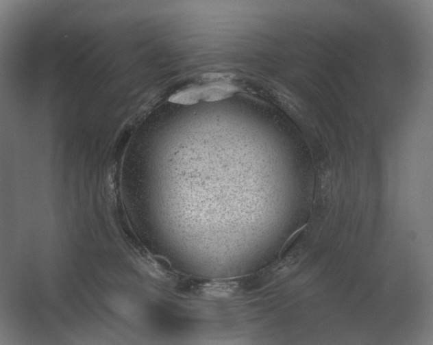 X0000062610373200601040945