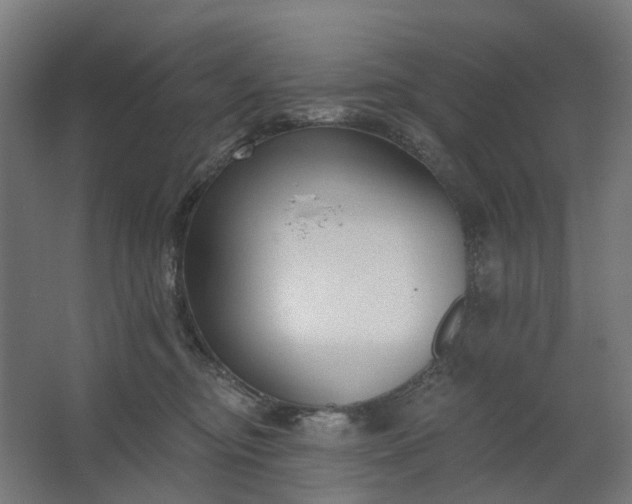 X0000062610374200601040945