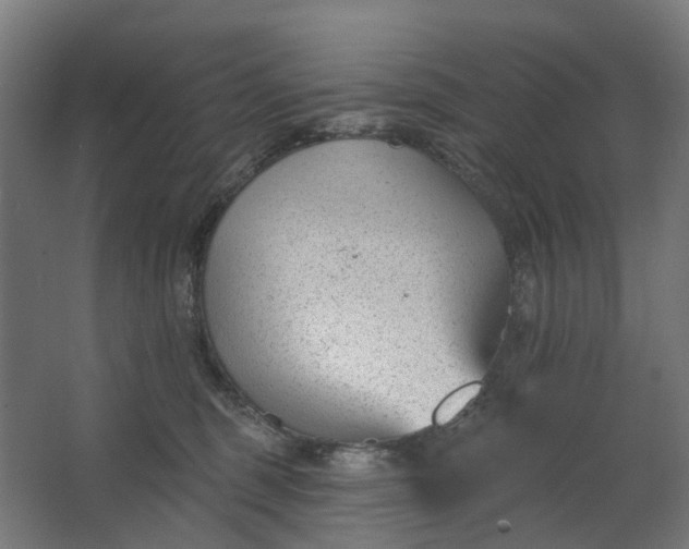 X0000062610375200601040945