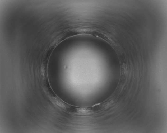 X0000062610380200601040946